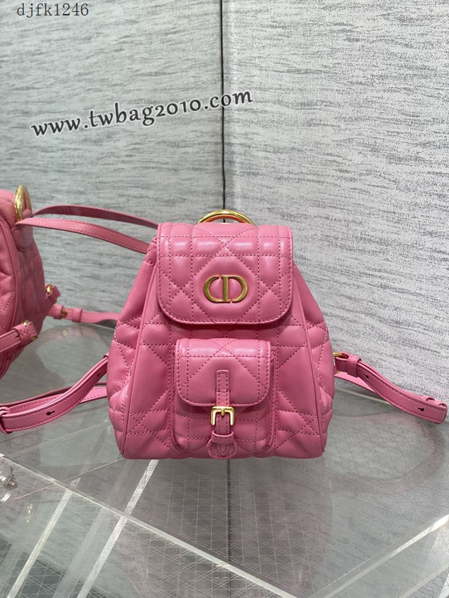 Dior专柜新款迪奥高仿原单枚粉Caro秋冬系列小号双肩包 djfk1246