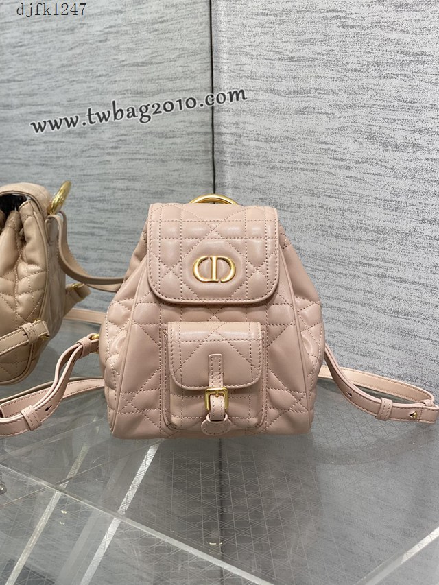 Dior专柜新款迪奥高仿原单浅粉Caro秋冬系列小号双肩包 djfk1247