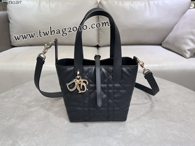 Dior专柜2025新款迪奥高仿原单Toujours竖版手袋牛皮休闲手提女包 djfk1297