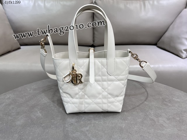 Dior专柜2025新款迪奥高仿原单Toujours竖版手袋牛皮休闲手提女包 djfk1299