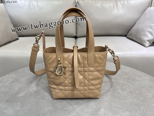 Dior专柜2025新款迪奥高仿原单Toujours竖版手袋牛皮休闲手提女包 djfk1300