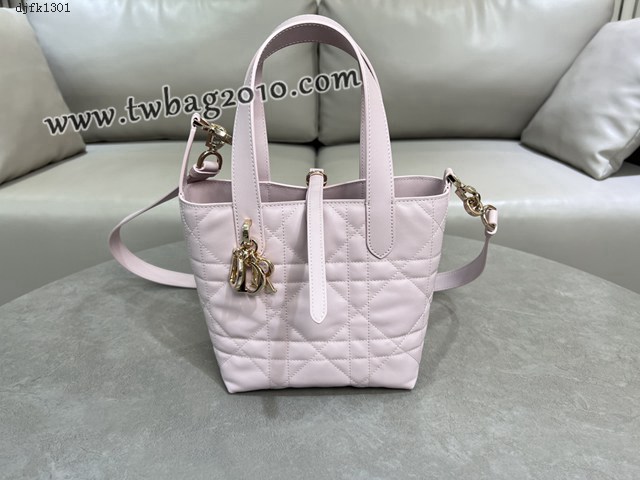 Dior专柜2025新款迪奥高仿原单Toujours竖版手袋牛皮休闲手提女包 djfk1301