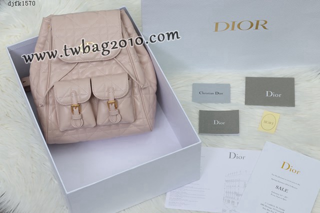 Dior专柜新款迪奥高仿原单Caro双肩包小羊皮女士双肩背包 djfk1570