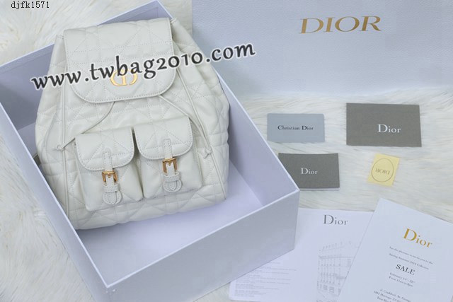 Dior专柜新款迪奥高仿原单Caro双肩包小羊皮女士双肩背包 djfk1571