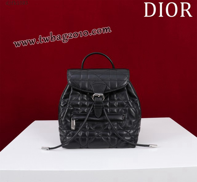 Dior专柜新款迪奥高仿原单女士双肩背包D007-006 djfk1593