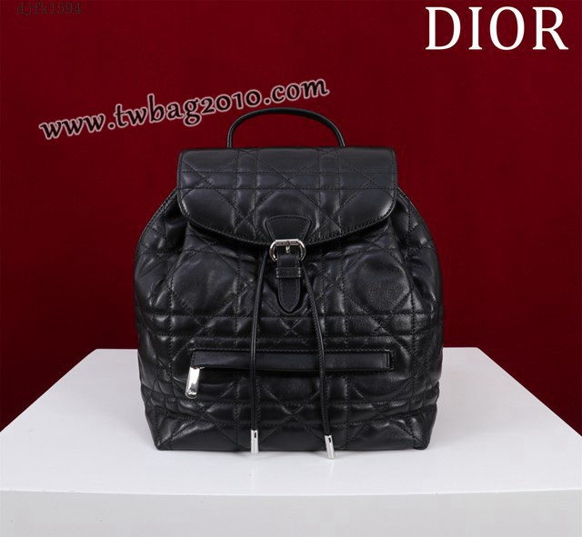 Dior专柜新款迪奥高仿原单女士双肩背包D007-006 djfk1594
