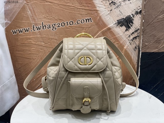 Dior专柜2025早春新款迪奥高仿原单小号Caro双肩背包女士后背包 djfk1818