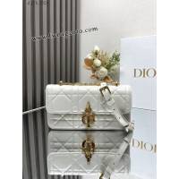 Dior专柜新款迪奥顶级原单miss daisy链条女包 djfk1024