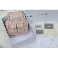 Dior专柜新款迪奥高仿原单Caro双肩包小羊皮女士双肩背包 djfk1570