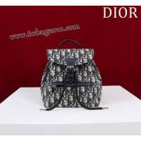Dior专柜新款迪奥高仿原单女士双肩背包D007-006 djfk1591