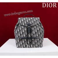 Dior专柜新款迪奥高仿原单女士双肩背包D007-006 djfk1592