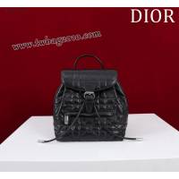 Dior专柜新款迪奥高仿原单女士双肩背包D007-006 djfk1593