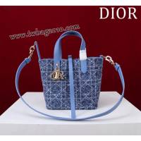 Dior专柜新款迪奥高仿原单藤格纹图案Toujours竖版手袋时尚托特购物包 djfk1675