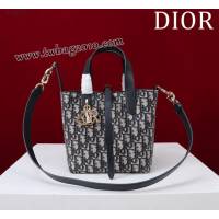 Dior专柜新款迪奥高仿原单藤格纹图案Toujours竖版手袋时尚托特购物包 djfk1677