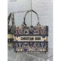 Dior专柜秋冬系列新款托特包迪奥高仿原单Tote包Around the world小号手提购物袋 djfk1707