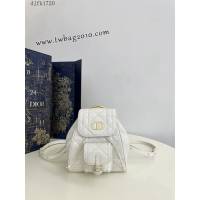 Dior专柜新款迪奥高仿原单白色小号Caro秋冬系列双肩包 djfk1720