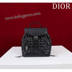 Dior专柜新款迪奥高仿原单女士双肩背包D007-006 djfk1593